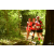Team 119 / Raid Amazones Cambodge - J1 : Trek