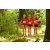 Team 113 / Raid Amazones Cambodge - J1 : Trek
