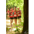 Team 122 / Raid Amazones Cambodge - J1 : Trek