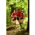 Team 178 / Raid Amazones Cambodge - J1 : Trek