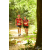 Team 05 / Raid Amazones Cambodge - J1 : Trek