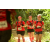 Team 133 / Raid Amazones Cambodge - J1 : Trek