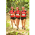 Team 157 / Raid Amazones Cambodge - J1 : Trek