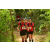 Team 158 / Raid Amazones Cambodge - J1 : Trek