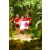 Team 135 / Raid Amazones Cambodge - J1 : Trek