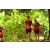 Team 180 / Raid Amazones Cambodge - J1 : Trek