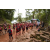 Raid Amazones Cambodge - J1 : Trek