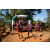 Raid Amazones Cambodge - J1 : Trek