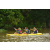 Team 174 / Raid Amazones Cambodge - J2 Canoe