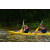 Team 19 / Raid Amazones Cambodge - J2 Canoe
