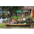 Raid Amazones Cambodge - J2 Canoe Ambiance