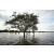 Raid Amazones Cambodge - J2 Canoe