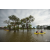 Raid Amazones Cambodge - J2 Canoe