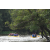 Raid Amazones Cambodge - J2 Canoe
