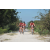 Team 103 / Raid Amazones Cambodge - J3 VTT