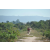 Raid Amazones Cambodge - J3 VTT