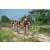 Team 109 / Raid Amazones Cambodge - J3 VTT