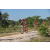 Team 124 / Raid Amazones Cambodge - J3 VTT