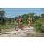Team 174 / Raid Amazones Cambodge - J3 VTT