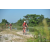 Team 142 / Raid Amazones Cambodge - J3 VTT