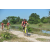 Team 53 / Raid Amazones Cambodge - J3 VTT