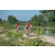 Team 113 / Raid Amazones Cambodge - J3 VTT