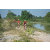 Team 25 / Raid Amazones Cambodge - J3 VTT
