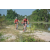 Team 148 / Raid Amazones Cambodge - J3 VTT
