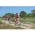 Team 175 / Raid Amazones Cambodge - J3 VTT