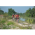 Team 12 / Raid Amazones Cambodge - J3 VTT