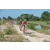 Team 155 / Raid Amazones Cambodge - J3 VTT