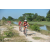 Team 135 / Raid Amazones Cambodge - J3 VTT