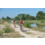 Team 16 / Raid Amazones Cambodge - J3 VTT