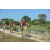 Team 60 / Raid Amazones Cambodge - J3 VTT