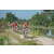 Team 178 / Raid Amazones Cambodge - J3 VTT