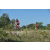 Team 158 / Raid Amazones Cambodge - J3 VTT
