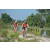 Team 17 / Raid Amazones Cambodge - J3 VTT