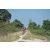 Team 184 / Raid Amazones Cambodge - J3 VTT