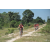 Team 116 / Raid Amazones Cambodge - J3 VTT