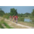 Team 173 / Raid Amazones Cambodge - J3 VTT