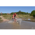Team 124 / Raid Amazones Cambodge - J3 VTT