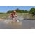 Team 180 / Raid Amazones Cambodge - J3 VTT