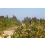 Raid Amazones Cambodge - J3 VTT
