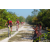 Raid Amazones Cambodge - J3 VTT