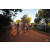 Team 147 / Raid Amazones Cambodge - J3 VTT