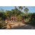 Team 184 / Raid Amazones Cambodge - J3 VTT