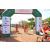 Team 171 / Raid Amazones Cambodge - J3 VTT