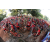 Raid Amazones Cambodge - J3 VTT
