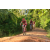 Team 124 / Raid Amazones Cambodge - J3 VTT
