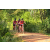 Team 114 / Raid Amazones Cambodge - J3 VTT